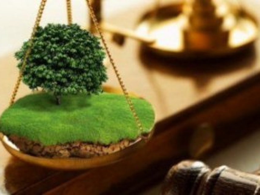 Информационное извещение № 15 от 01.10.2026 г.